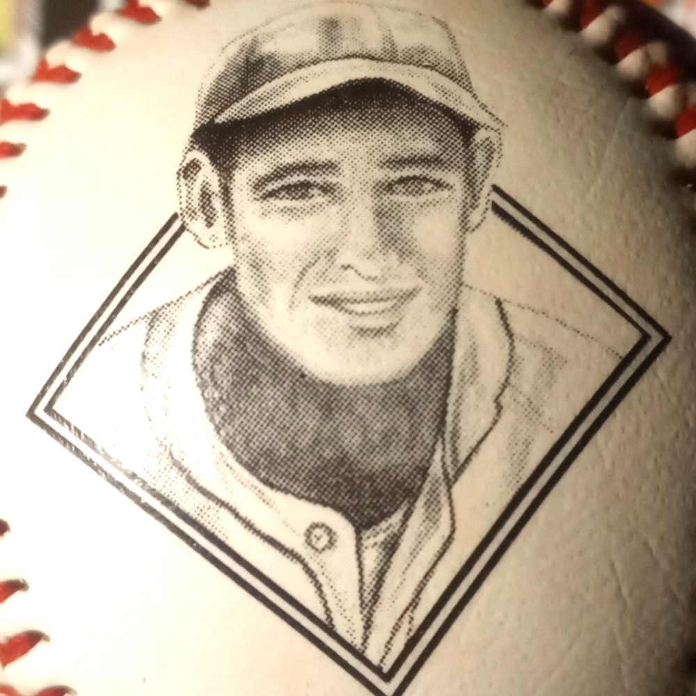 Black and White Artistic Baseball Portrait